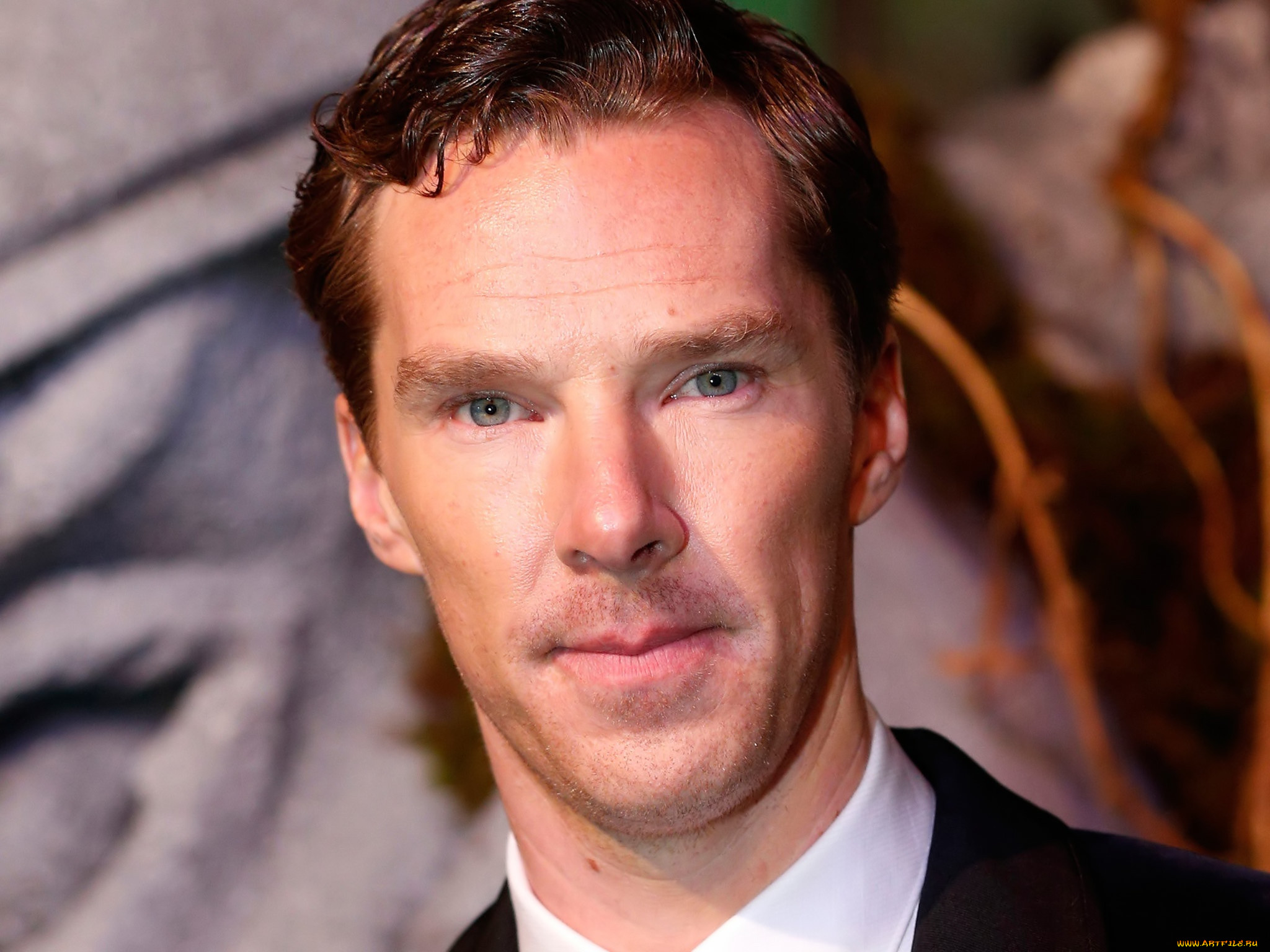 , benedict cumberbatch, benedict, cumberbatch